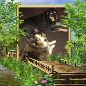 Meet your Posher, Dee